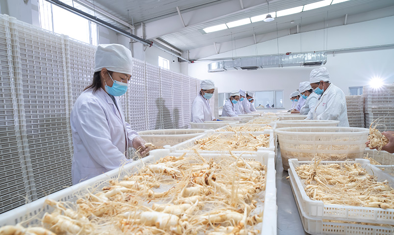 生產(chǎn)工廠展示